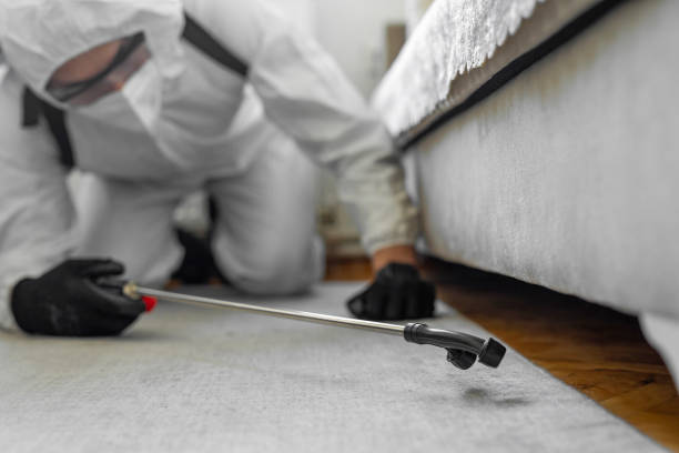 Professional Bed Bug Control technician working in Pleasant Hills, OH