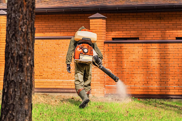 Trusted Rodent Control service in Pleasant Hills, OH - Nex Pest Control